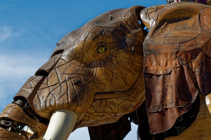 Mechanical Marvels